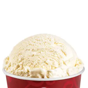 French vanilla ice cream